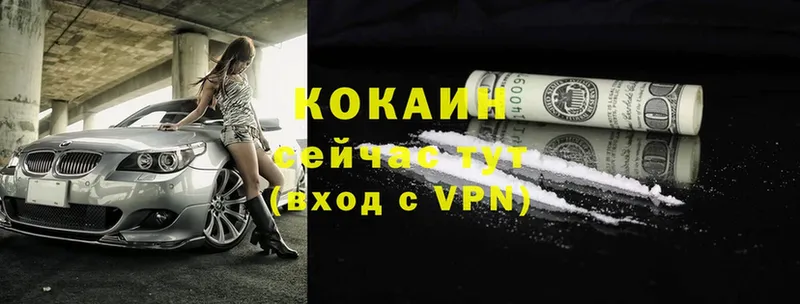 Cocaine FishScale  Николаевск-на-Амуре 